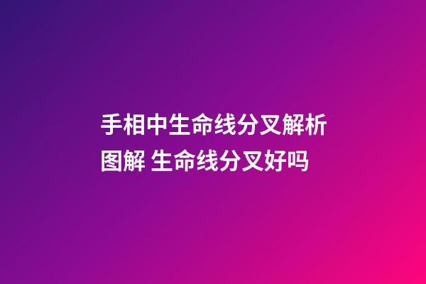 手相中生命线分叉解析图解 生命线分叉好吗